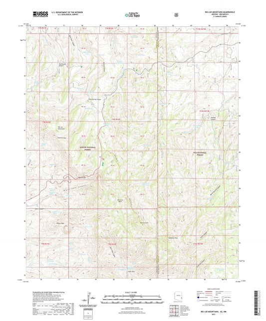 Big Lue Mountains Arizona US Topo Map Image