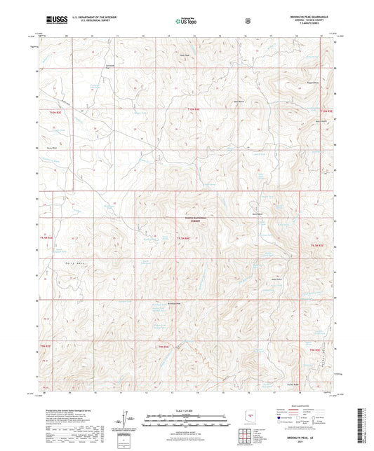 Brooklyn Peak Arizona US Topo Map Image