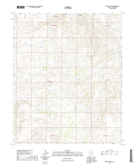 Brushy Canyon Arizona US Topo Map Image