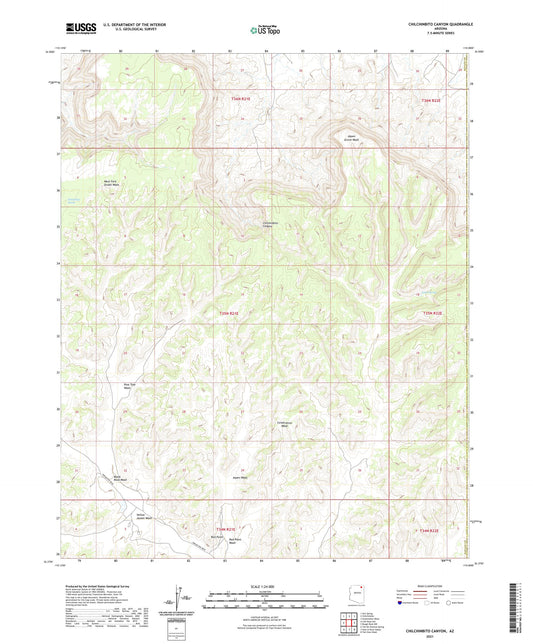 Chilchinbito Canyon Arizona US Topo Map Image
