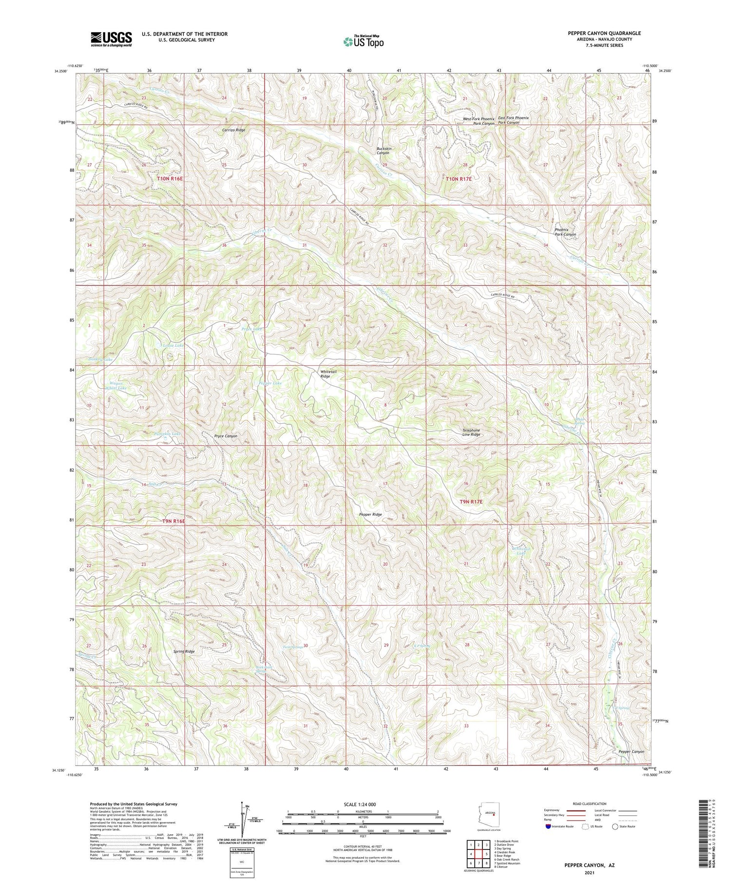 Pepper Canyon Arizona US Topo Map Image
