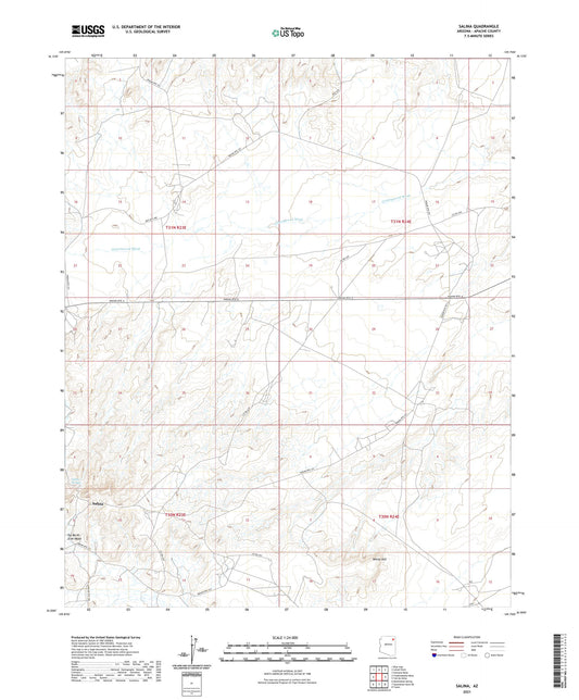 Salina Arizona US Topo Map Image