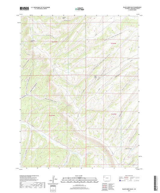 Black Cabin Gulch Colorado US Topo Map Image