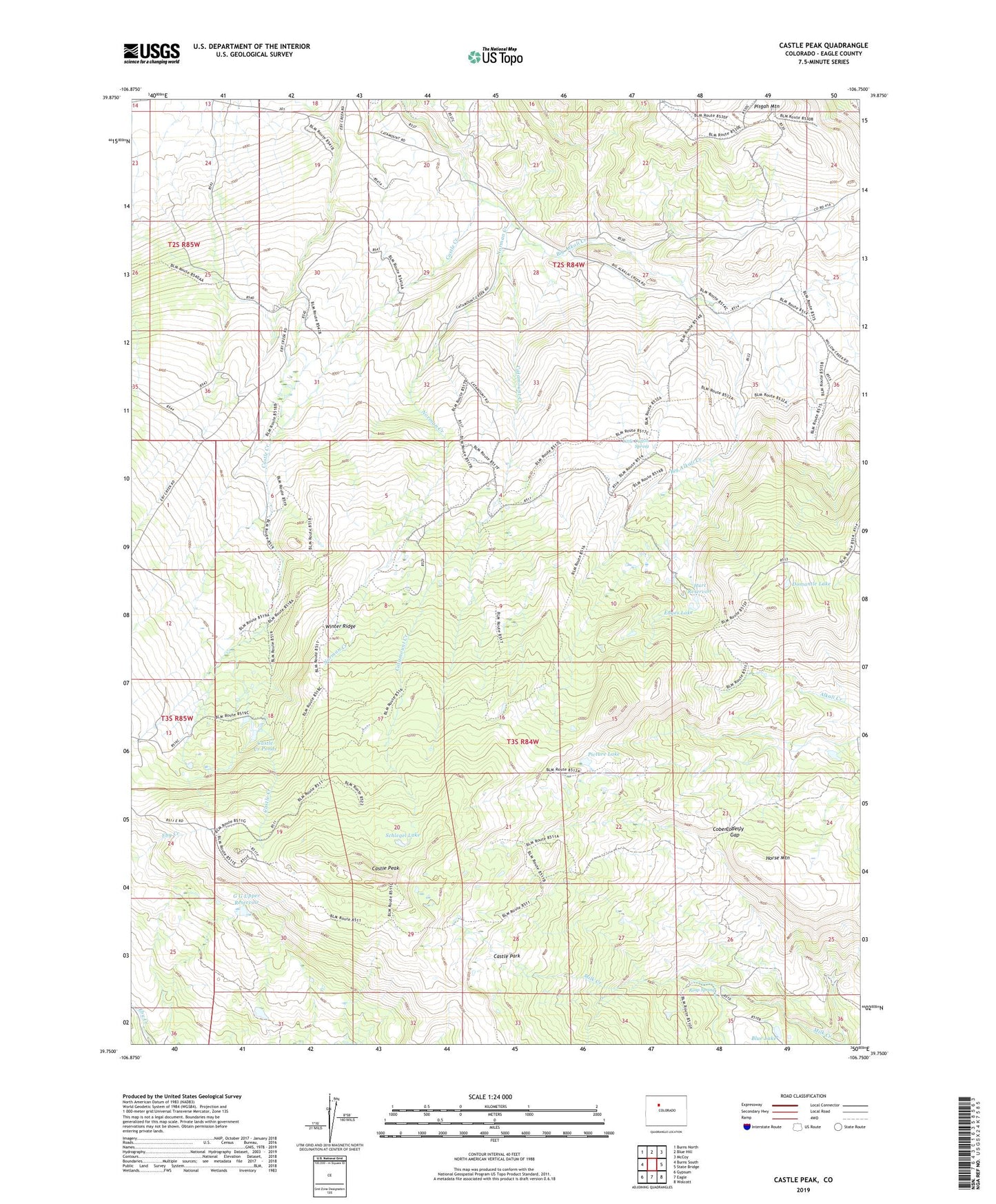 Castle Peak Colorado US Topo Map Image