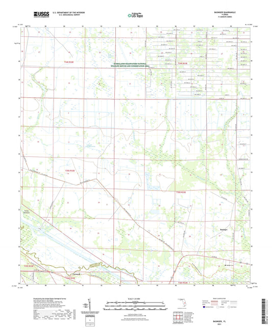 Basinger Florida US Topo Map Image