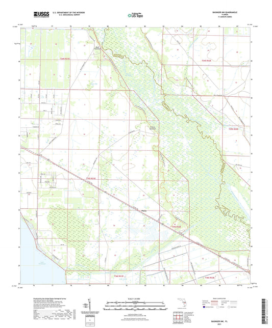 Basinger NW Florida US Topo Map Image