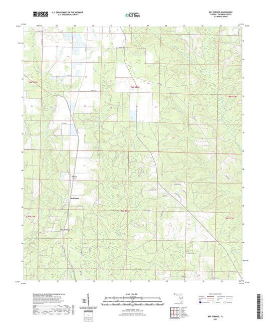 Bay Springs Florida US Topo Map Image
