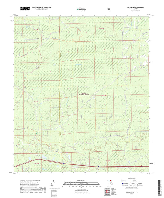 Big Gum Swamp Florida US Topo Map Image