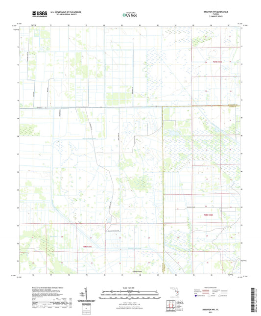 Brighton NW Florida US Topo Map Image