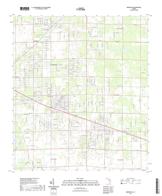 Bronson NE Florida US Topo Map Image