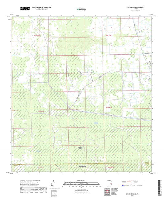 Cow Bone Island Florida US Topo Map Image