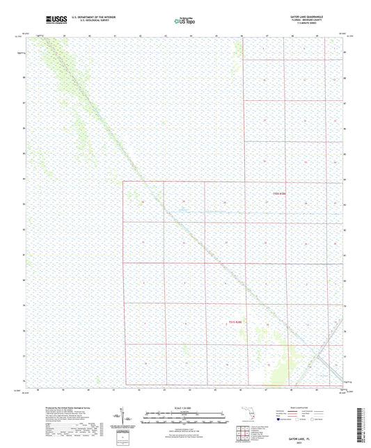 Gator Lake Florida US Topo Map Image