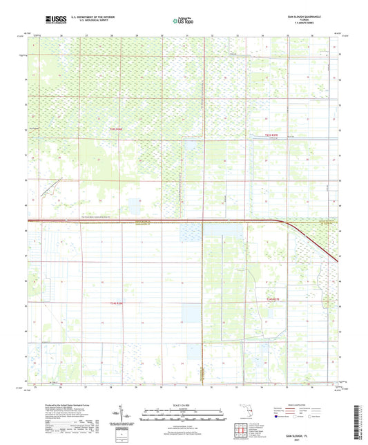 Gum Slough Florida US Topo Map Image