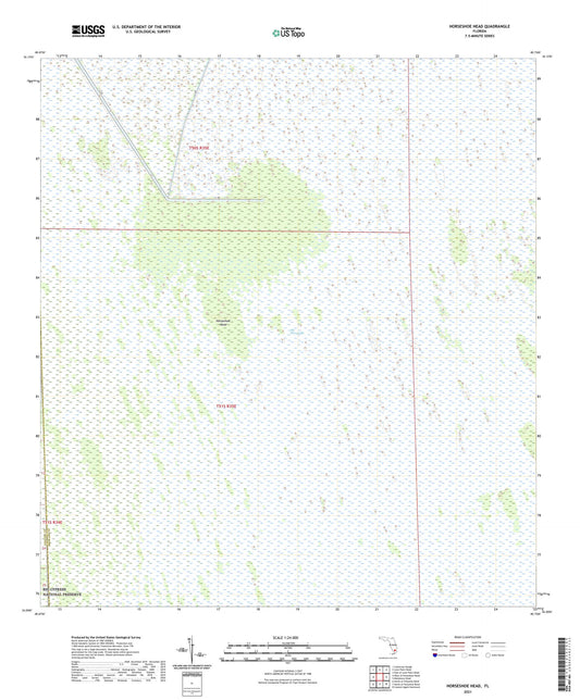 Horseshoe Head Florida US Topo Map Image