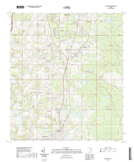 Lacoochee Florida US Topo Map Image