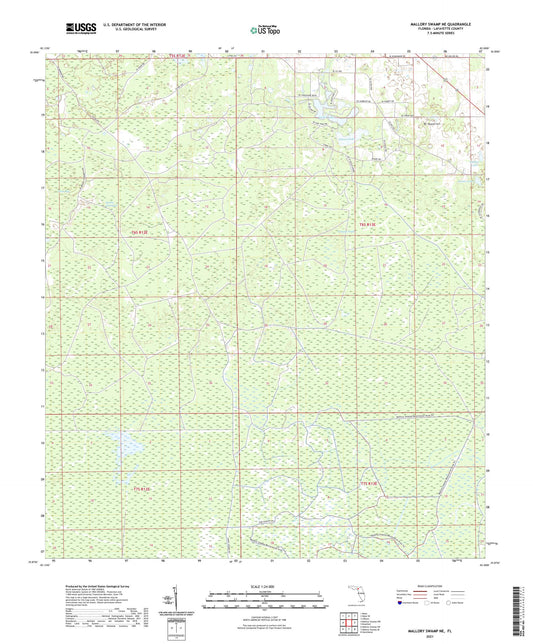 Mallory Swamp NE Florida US Topo Map Image