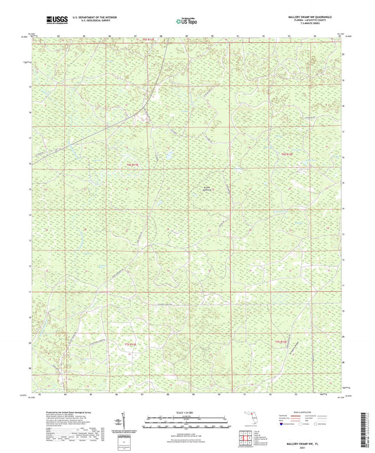 Mallory Swamp NW Florida US Topo Map Image