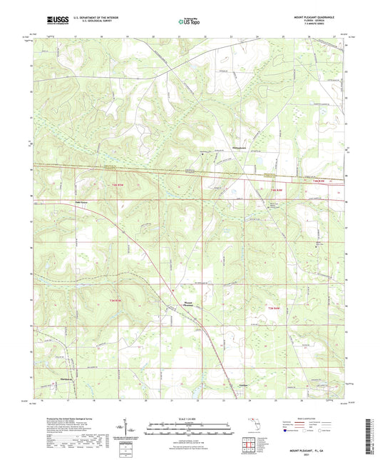Mount Pleasant Florida US Topo Map Image