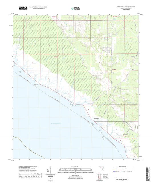 Okefenokee Slough Florida US Topo Map Image