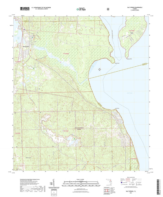 Salt Springs Florida US Topo Map Image