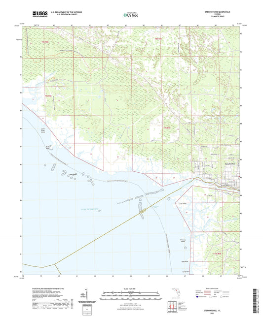 Steinhatchee Florida US Topo Map Image