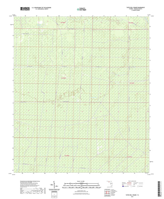 Tates Hell Swamp Florida US Topo Map Image