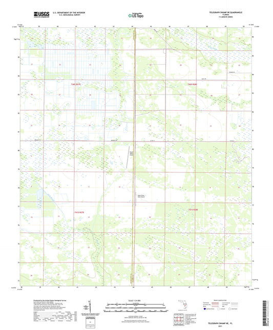 Telegraph Swamp NE Florida US Topo Map Image