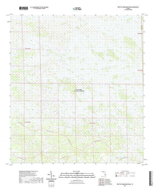 West of Horseshoe Head Florida US Topo Map Image