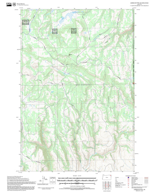 2025 Forest Service Topo Map of Akers Butte Oregon
