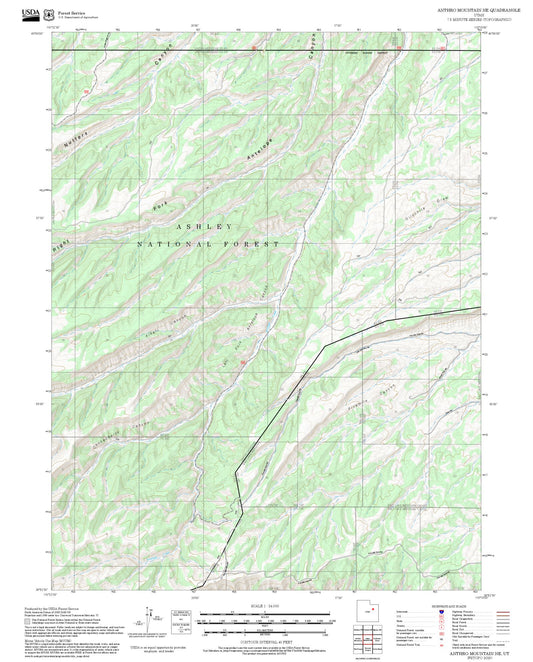 2025 Forest Service Topo Map of Anthro Mountain NE Utah
