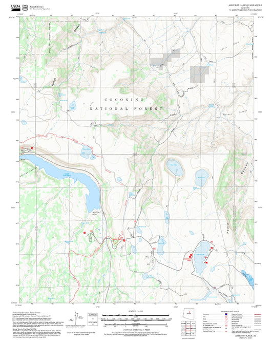 2025 Forest Service Topo Map of Ashurst Lake Arizona