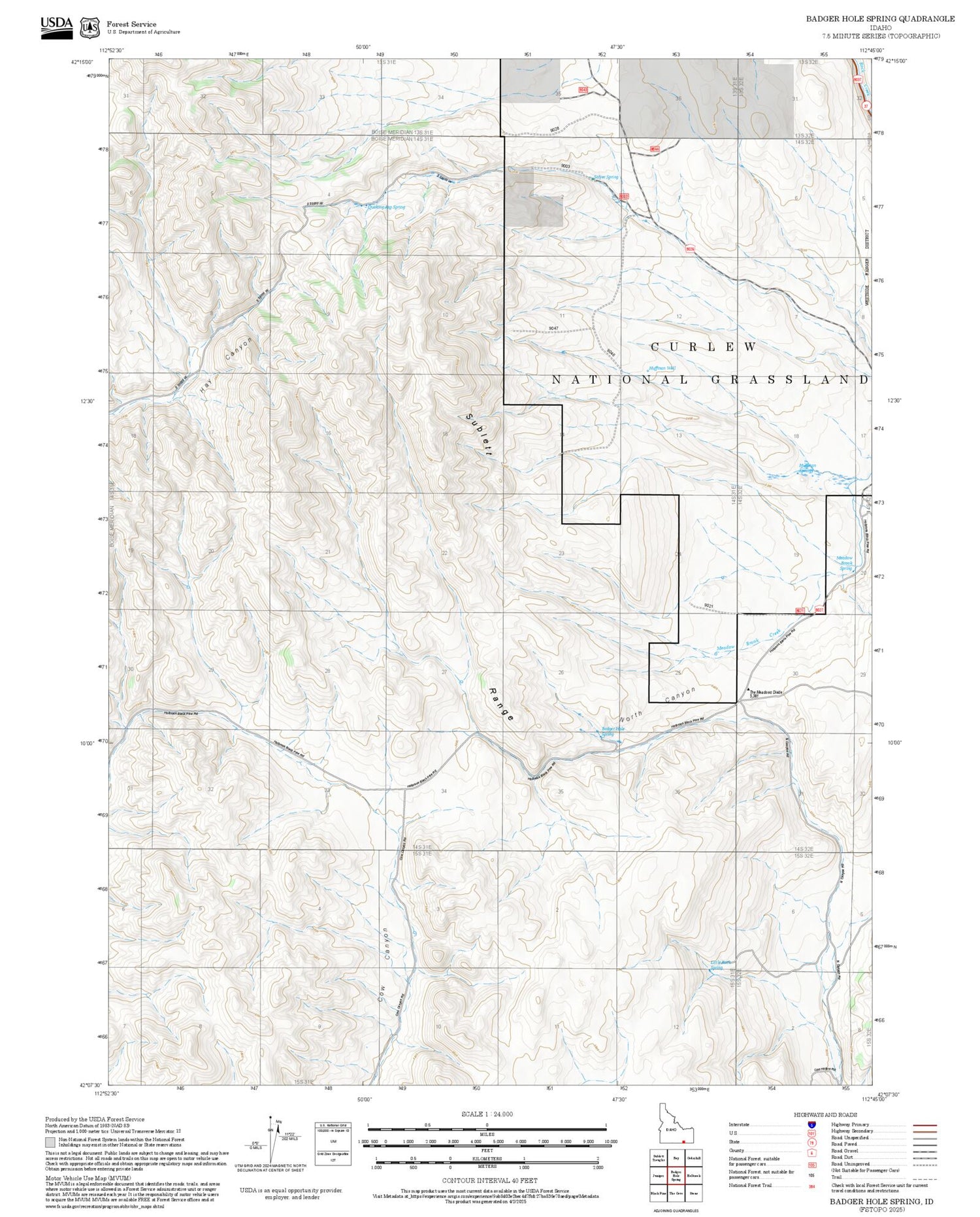 2025 Forest Service Topo Map of Badger Hole Spring Idaho
