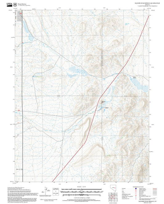 2025 Forest Service Topo Map of Badger Hole Spring Nevada