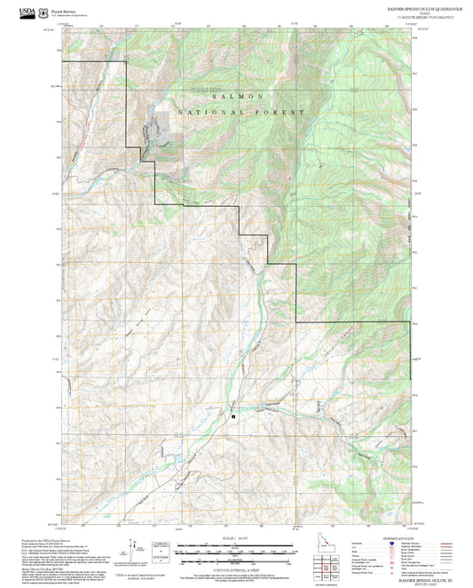 2025 Forest Service Topo Map of Badger Spring Gulch Idaho