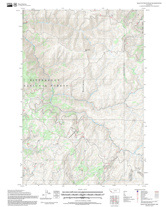 2025 Forest Service Topo Map of Bald Top Mountain Montana