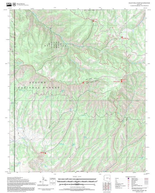 2025 Forest Service Topo Map of Baldy Bill Point Arizona