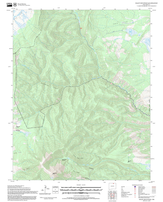 2025 Forest Service Topo Map of Baldy Mountain New Mexico