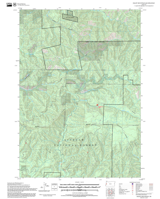 2025 Forest Service Topo Map of Baldy Mountain Oregon