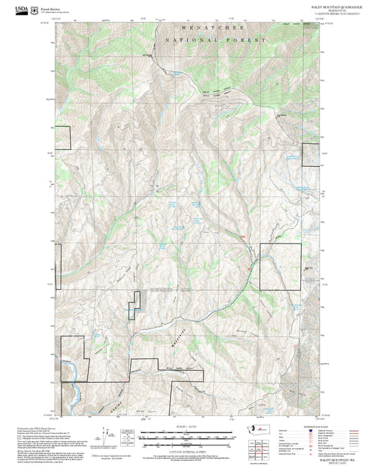 2025 Forest Service Topo Map of Baldy Mountain Washington