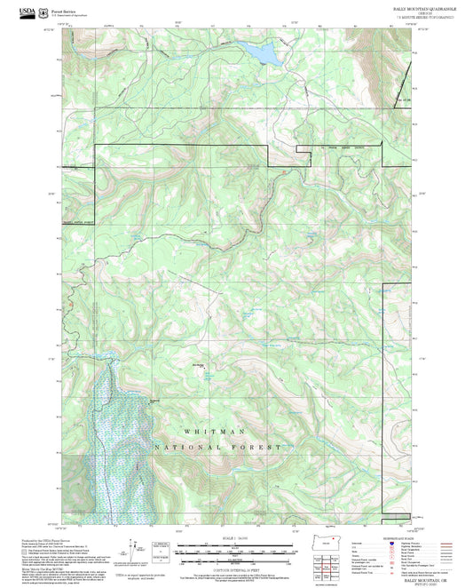 2025 Forest Service Topo Map of Bally Mountain Oregon