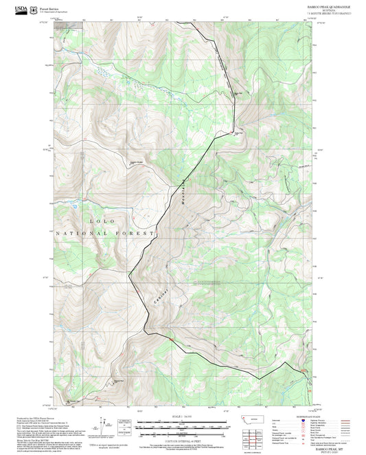 2025 Forest Service Topo Map of Bassoo Peak Montana