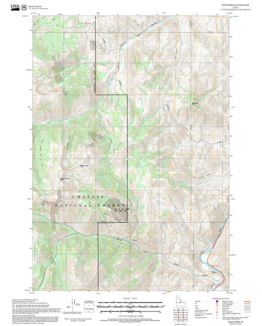 2025 Forest Service Topo Map of Bayhorse Idaho