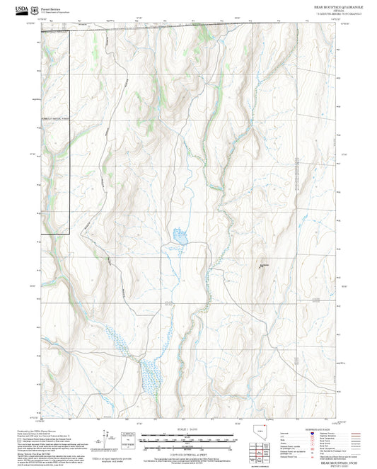 2025 Forest Service Topo Map of Bear Mountain Nevada