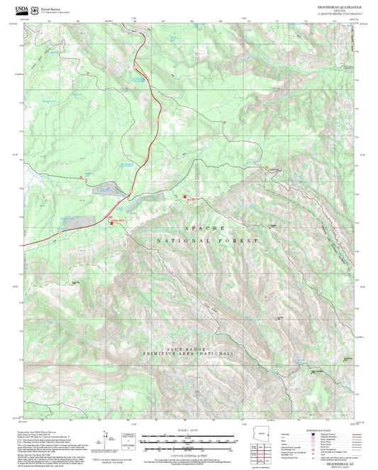 2025 Forest Service Topo Map of Beaverhead Arizona