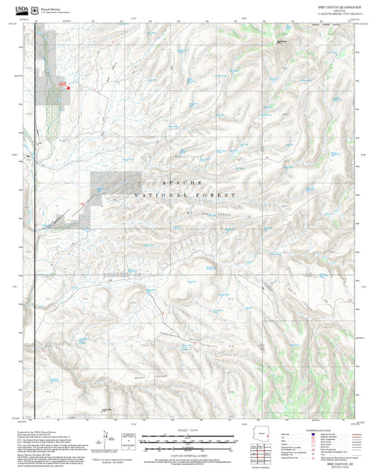 2025 Forest Service Topo Map of Bee Canyon Arizona