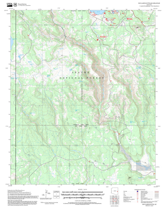 2025 Forest Service Topo Map of Big Lake South Arizona