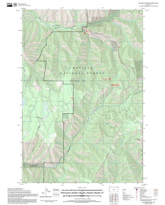 2025 Forest Service Topo Map of Big Meadows Oregon