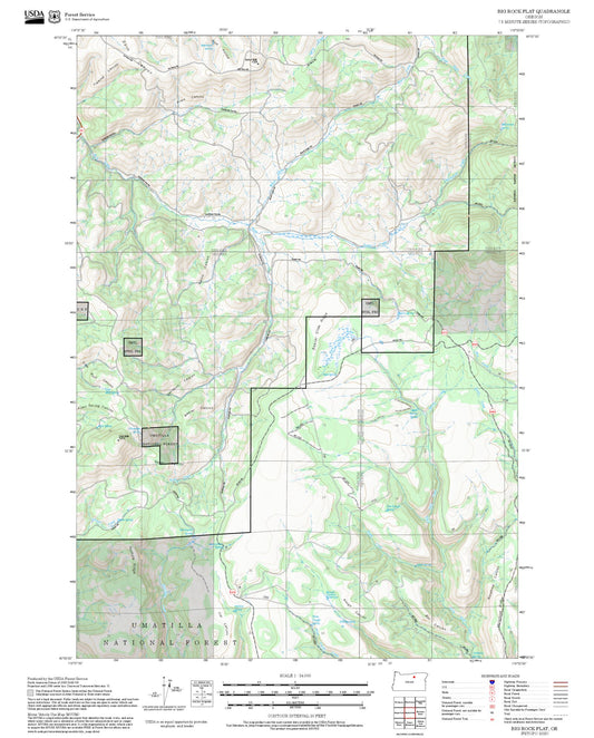 2025 Forest Service Topo Map of Big Rock Flat Oregon