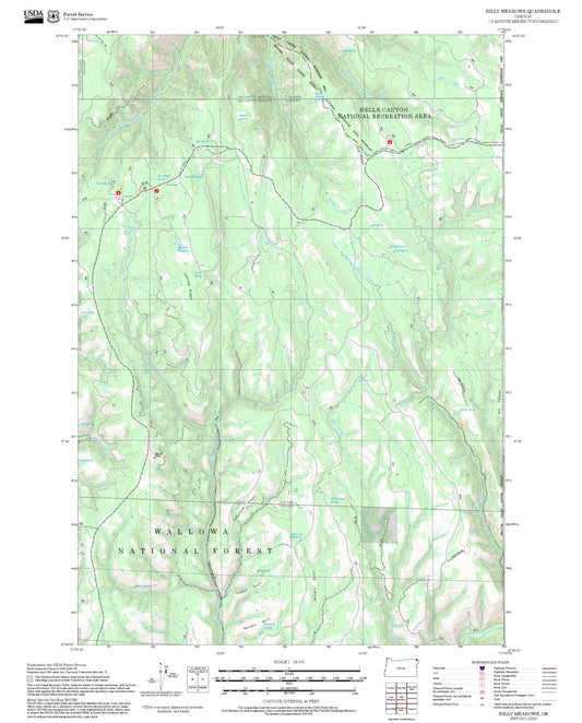 2025 Forest Service Topo Map of Billy Meadows Oregon