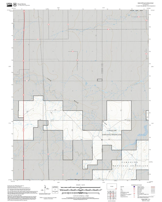 2025 Forest Service Topo Map of Bisonte Colorado